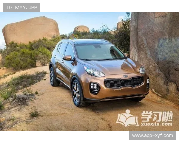 欧博手机版app下载官网安全稳定的官方下载安装指南